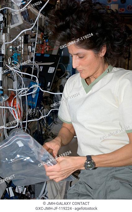 NASA astronaut Sunita Williams, Expedition 33 commander, holds a plastic storage bag as she prepares to service the NanoRacks Module 9 payload in the Kibo...