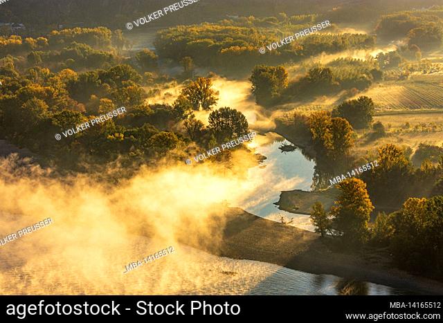 rossatz-arnsdorf, river donau (danube, front), oxbow lake in wetland pritzenau (right) in morning mist in wachau, niederösterreich / lower austria, austria