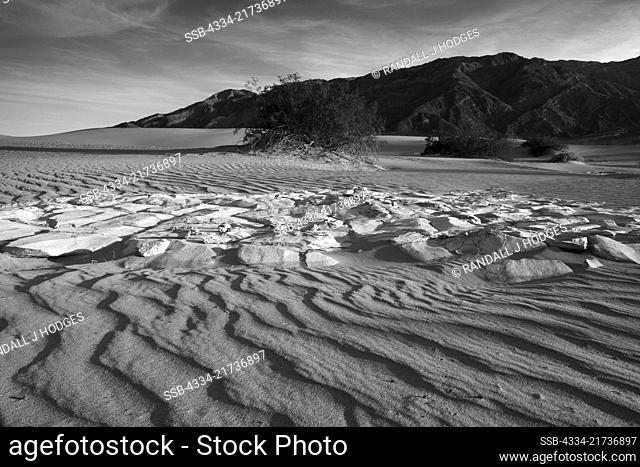 Wind Blown Sand Ridges in the Mesquite Sand Dunes in Death Valley National Park in California