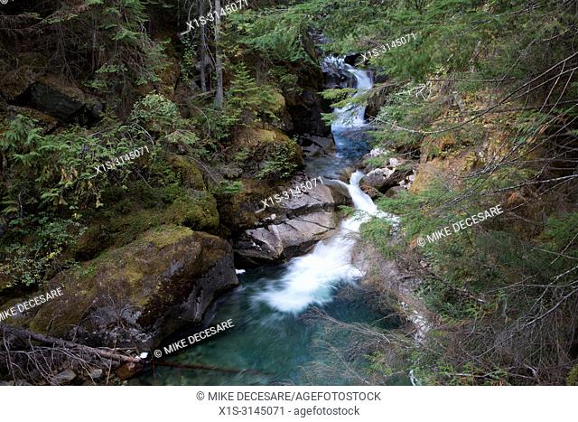 Kokanee Creek Provincial Park in British Columbia, Canada, offers spectacular hiking trails through forests, into canyons, Old Growth and a glacier