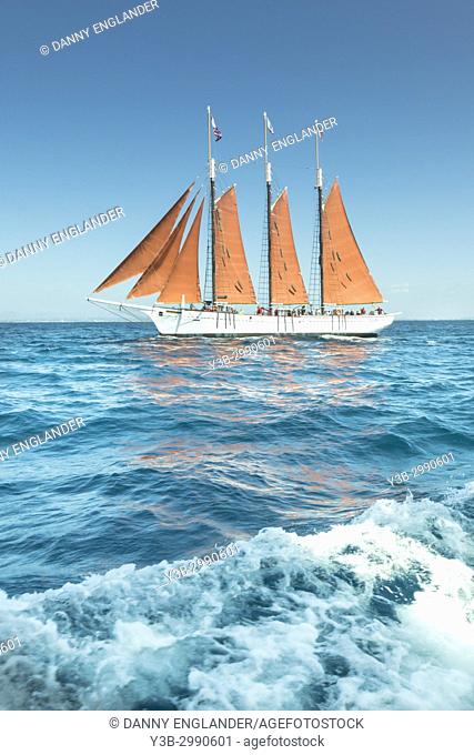 Antique, vintage sailing ship with red sails on the Pacific Ocean, with a bright blue sky