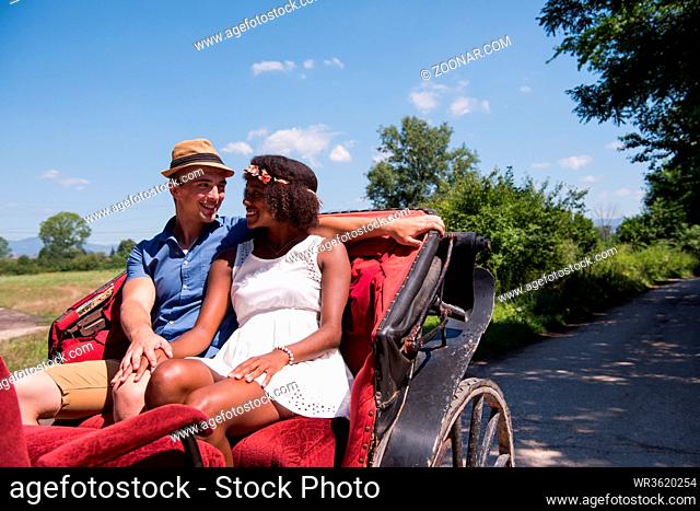 a young man and a beautiful African American girl enjoying horse carriage rides in nature on a sunny summer day
