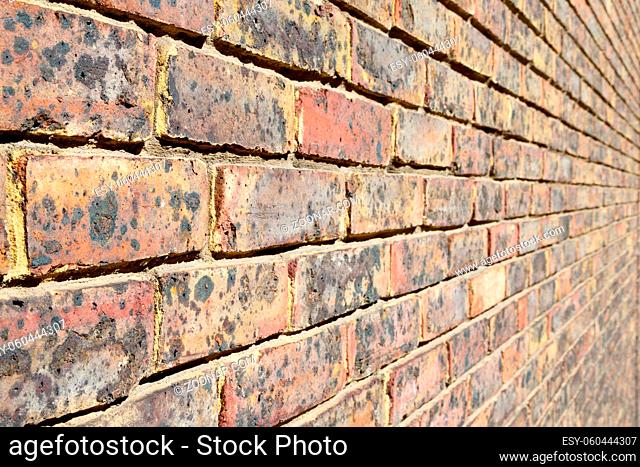 in london  abstract texture of a ancien wall and ruined brick