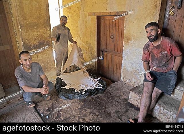 Workers sorting leather, dye works, Tannerie Chouara tannery, tanners and dyers quarter, Fés el Bali, Fez, Kingdom of Morocco