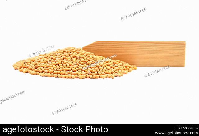 Senfkörner - Mustard seeds at plate