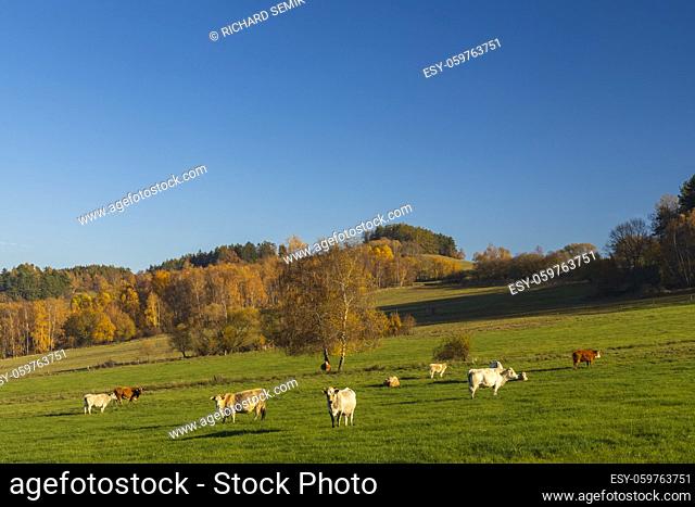 Typical Sumava autumn landscape, Southern Bohemia, Czech Republic