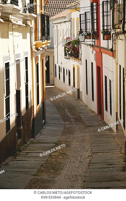 Typical street. Cordoba, Andalucía, Spain