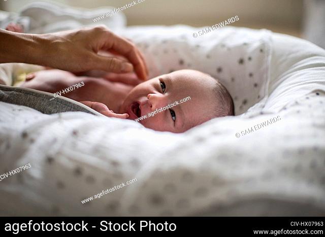 Cute newborn baby boy laying in bassinet