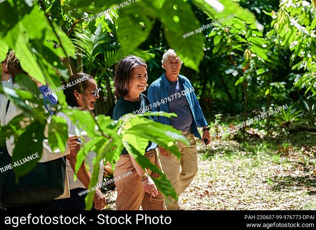 07 June 2023, Brazil, Ilha do Combu: Annalena Baerbock (M, Bündnis 90/Die Grünen), Foreign Minister, visits the rainforest during her meeting with local cocoa...