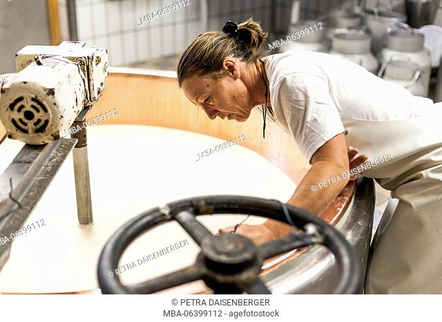 dairymaid processes fresh milk to aromatic alp cheese, report: from cooking the milk and adding rennet until having the cheese loaf which get to ripe in the...