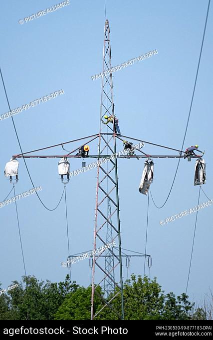 30 May 2023, Saxony, Klipphausen: Employees of SachsenEnergie subsidiary SachsenNetze stand on a high-voltage pylon during corrosion protection work