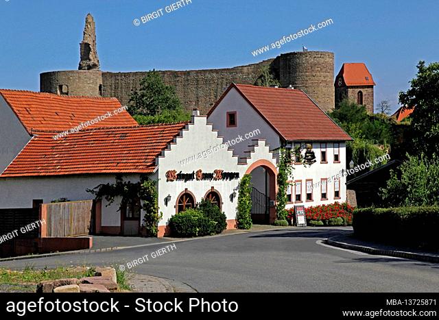 Franz Nippgen Winery, Neuleiningen Castle, Neuleiningen, District. Bad Dürkheim, Rhineland-Palatinate, Germany