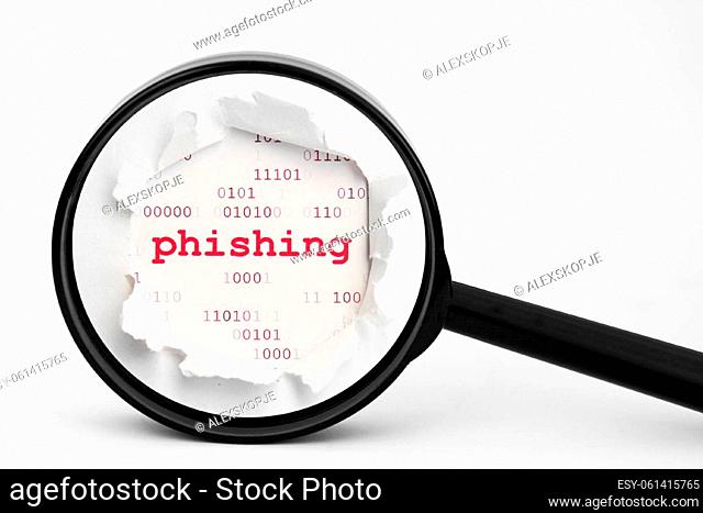 Search for phishing data