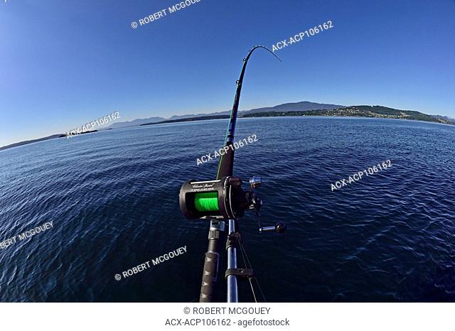 A wide angle of a bent fishing rod trolling for salmon on the Strait of Georgia near Vancouver Island, Canada