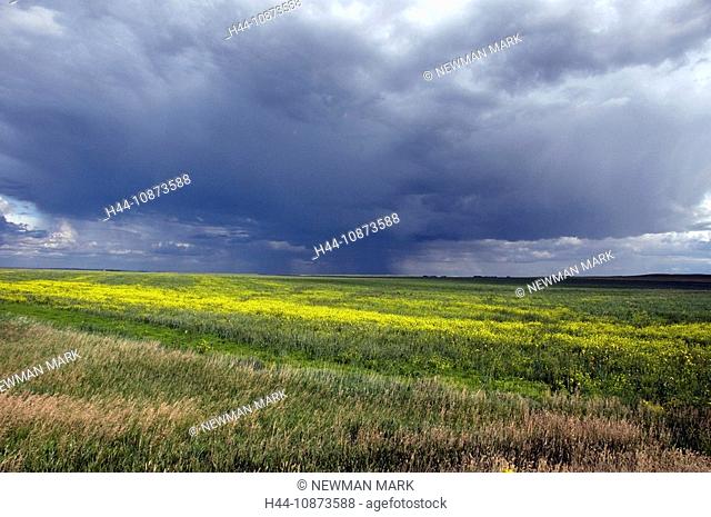 clouds, saskatchewan prairie, Canada, meadow, nature