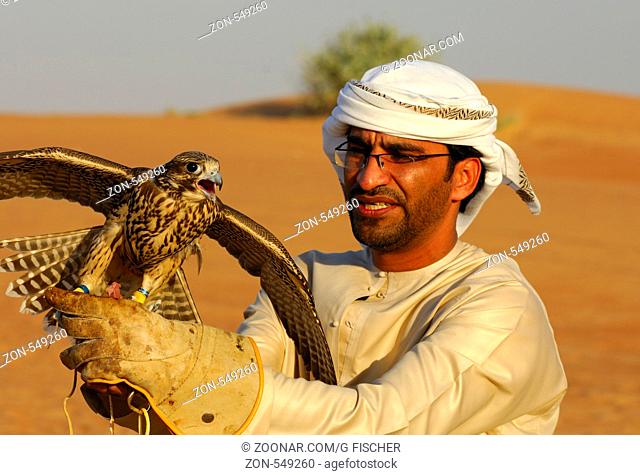Arabischer Falkner mit seinem Jagdfalken beim Training in der Wüste, Dubai, Vereinigte Arabische Emirate, UAE / Arab falconer with his hunting falcon at a...