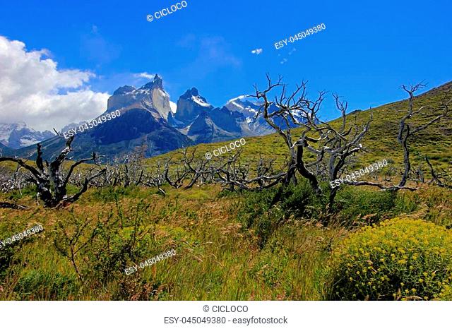 Cuernos Paine Grande, Torres Del Paine National Park, Patagonia, Chile, Southamerica