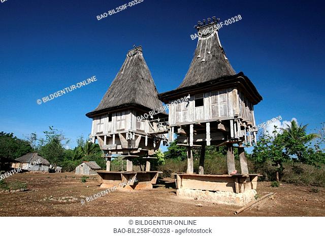Traditional timber house with Lospalos in osten from the east Timor with Tutuala, the east Timor
