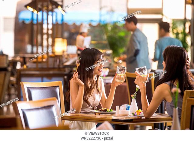Young girlfriends dinner in a restaurant