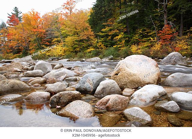 East Branch of the Pemigewasset River during the autumn months in Lincoln, New Hampshire USA