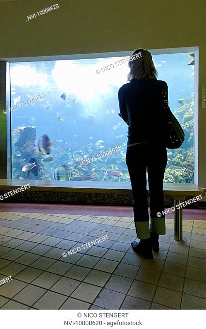 Visitor at the aquarium of Erfurt Zoopark, Erfurt, Thuringia, Germany, Europe