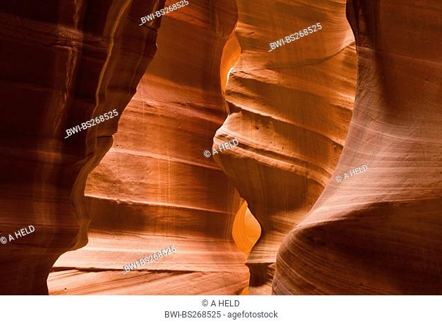 sandstone formations in Upper Antelope Canyon, USA, Arizona, Upper Antelope Canyon, Navajo Nation Reservation