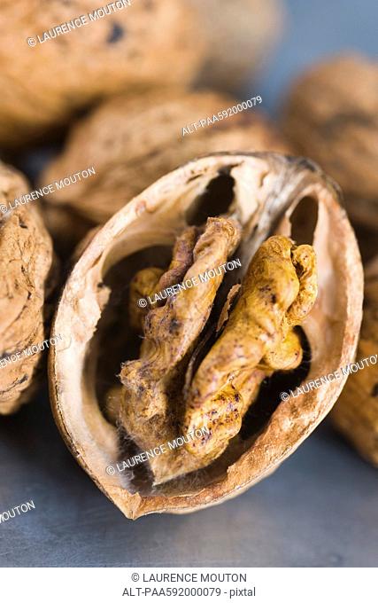 Shelling walnuts