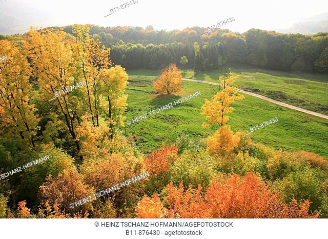 Autumnscene in Upperfrankonia, Bavaria, Germany