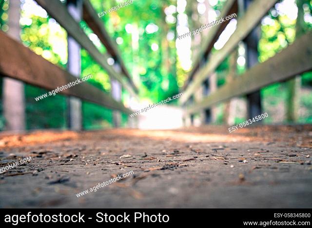 Wooden bridge in the forest, blurry background
