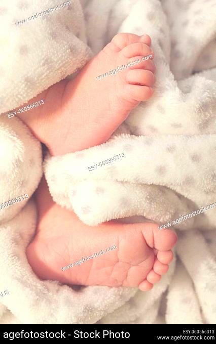 Feet of a newborn baby between a fluffy blanket