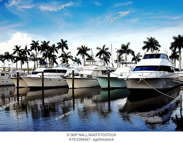 Luxury boats at a marina in Florida