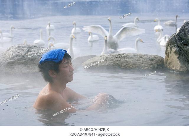 Japaneseman bathing in hot spring, Whooper Swans, Lake Kussharo, Hokkaido, Japan, Cygnus cygnus, Whopper Swan