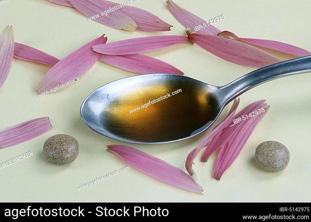Purple Cone flower (Echinacea purpurea), tablets and spoon with juice