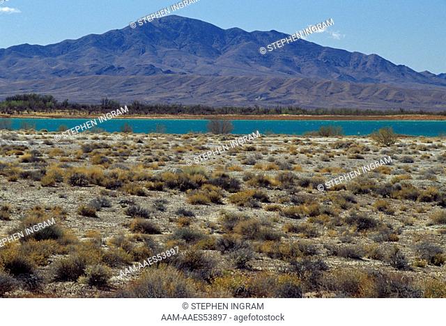 Crystal Reservoir with Desert Alkali Scrub in frgd., Ash Meadows NWR, NV