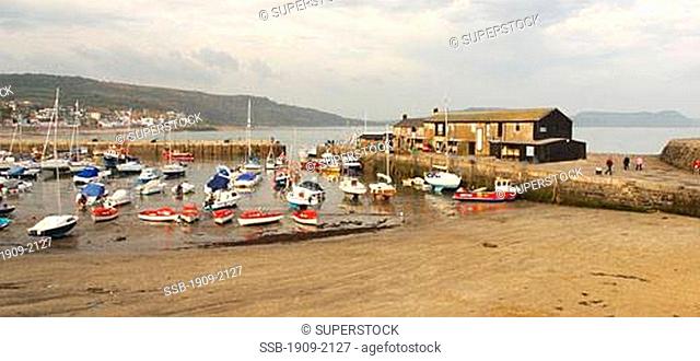 Lyme Regis Harbour was built to protect ships from the vagaries of the English Channel This photograph of Lyme Regis was taken in late afternoon sun Dorset...