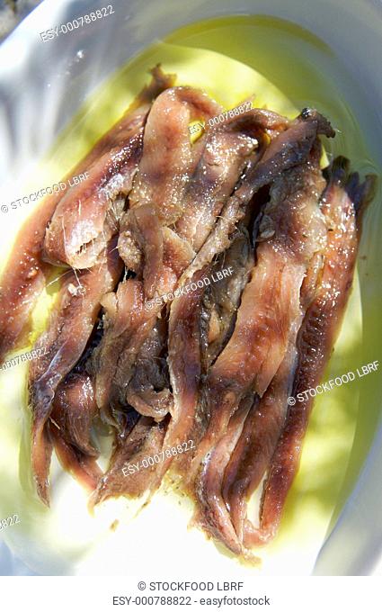 Anchovy fillets in olive oil