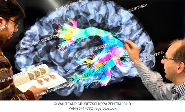 Scientists and study conductor Dr. Alfred Anwander (r) and Portuguese Tomas Goucha of the Max-Planck-Institute for Cognitive and Neuroscience assess the brain...