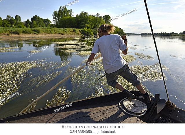 pilote degageant le bateau des bancs de renoncules des rivieres (Ranunculus fluitans), Balade en toue sur la Loire aux environs de Chaumont-sur-Loire