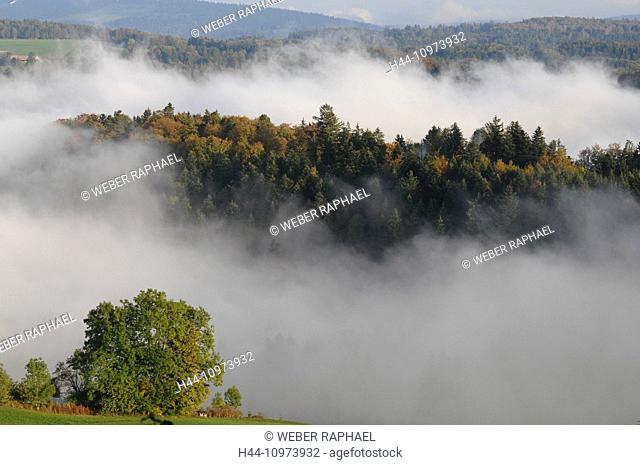 Switzerland, Europe, Jura, Freiberge, Franches Montagnes, view, fog, wood, forest, trees, sea of fog, autumn
