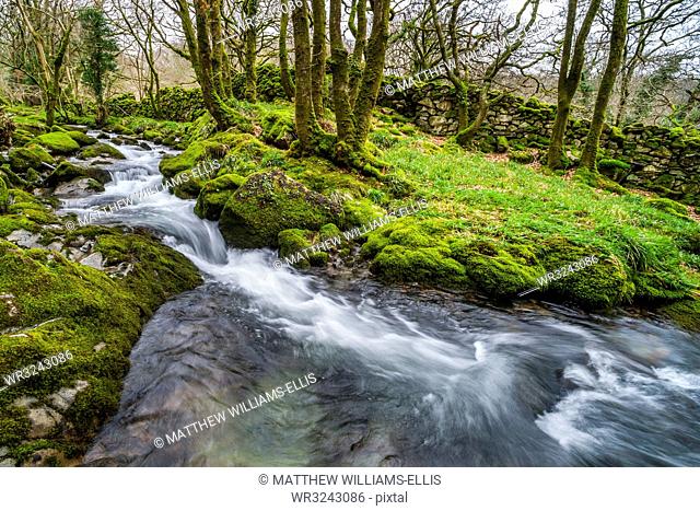 River in the Croesor Valley, Snowdonia National Park, Gwynedd, North Wales, Wales, United Kingdom, Europe