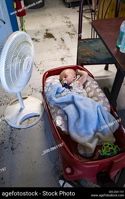 Broomes Island, Maryland USA A baby sleeps in a bassinet in bar under a fan in summer