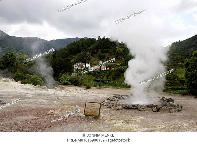 Sulphur springs, Hot Springs, Caldeiras das Furnas, Furnas, São Miguel, Azores, Portugal