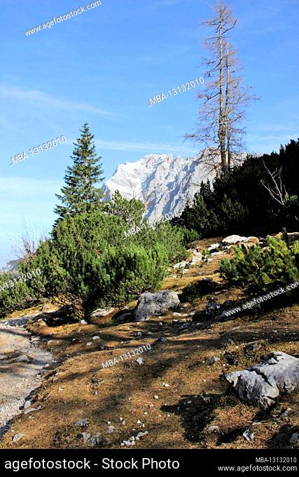 Austria, Tyrol, Ehrwald, Seebensee, Zugspitze, Zugspitze massif, mountains, alps, Wetterstein Mountains, mountain landscape, mountain landscape, Idyll