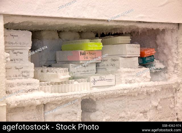 USA, Massachusetts, Boston, Frozen DNA samples in cytology laboratory in Brigham and Women's Hospital.Frozen DNA samples in cytology lab
