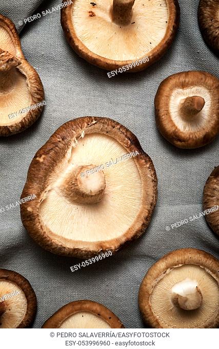 Mushrooms on a brown tablecloth
