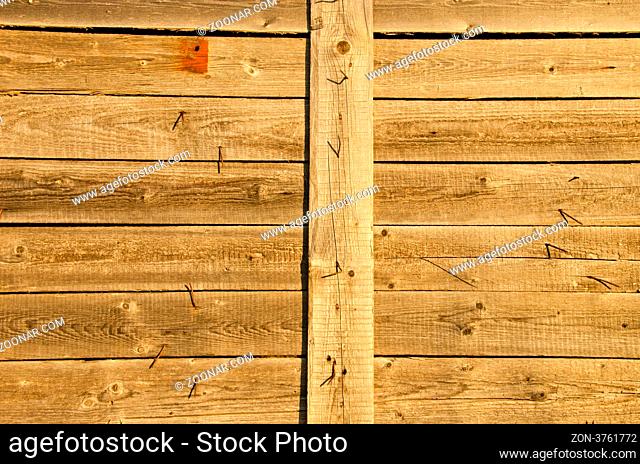 Background of wooden plank board wall and lot turn nails protrude from it