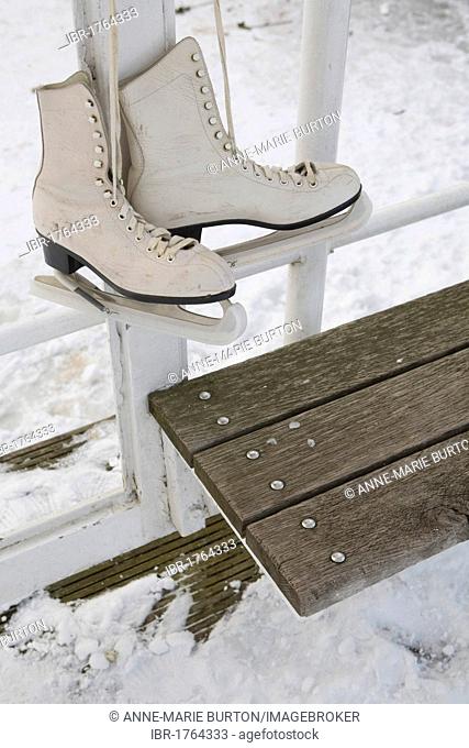 Old ice skates on a bench beside the frozen Alster Lake, Hamburg, Germany, Europe