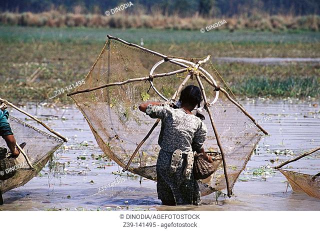 Tharu Woman fishing. Dudwa. Uttar Pradesh. India