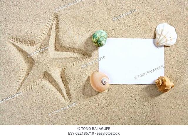 blank paper beach sand starfish pint shells summer