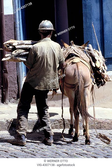 BRASILIEN, OURO PRETO, 01.09.1986, Eighties, people, agriculture, cattle industry, work, workman, work clothing, hard hat, donkey, pack donkey, wood transport